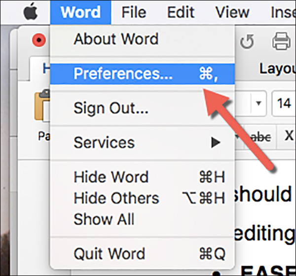 Fare clic sul menu a discesa di Word e quindi fare clic su Preferenze