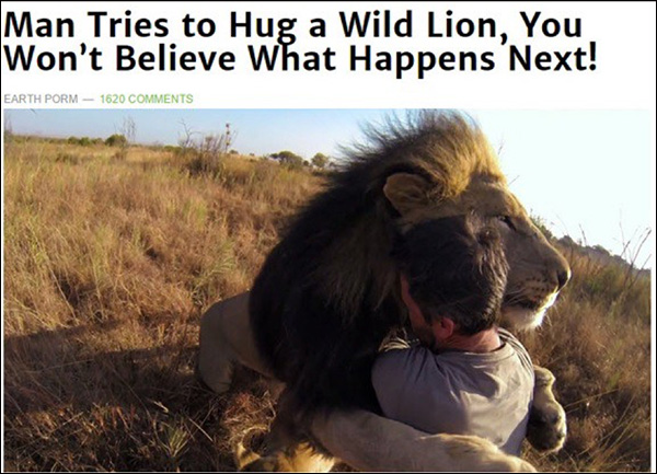 Un esempio di clickbait: "L'uomo cerca di abbracciare un leone selvaggio, non crederai che succederà dopo!"