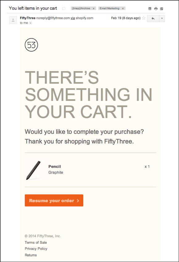 FiftyThree cart abandonment email